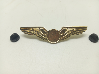 center-circle-wings-pin